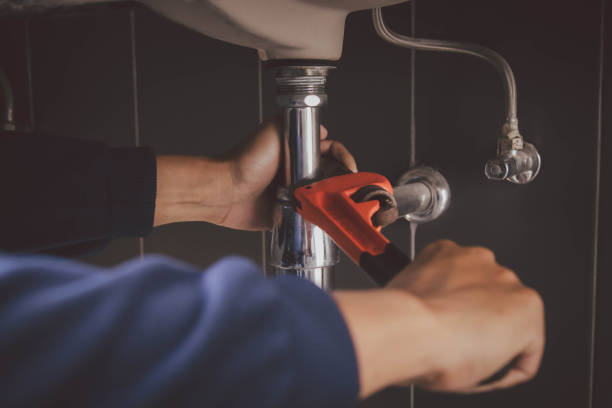 Best Plumbing Inspection Services  in Loma, CO